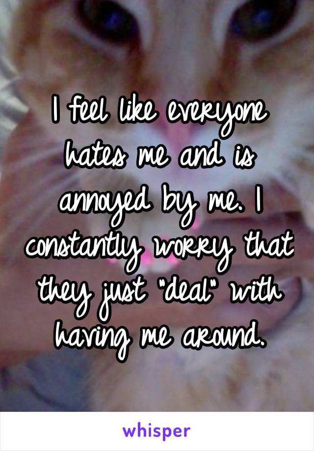 I feel like everyone hates me and is annoyed by me. I constantly worry that they just "deal" with having me around.