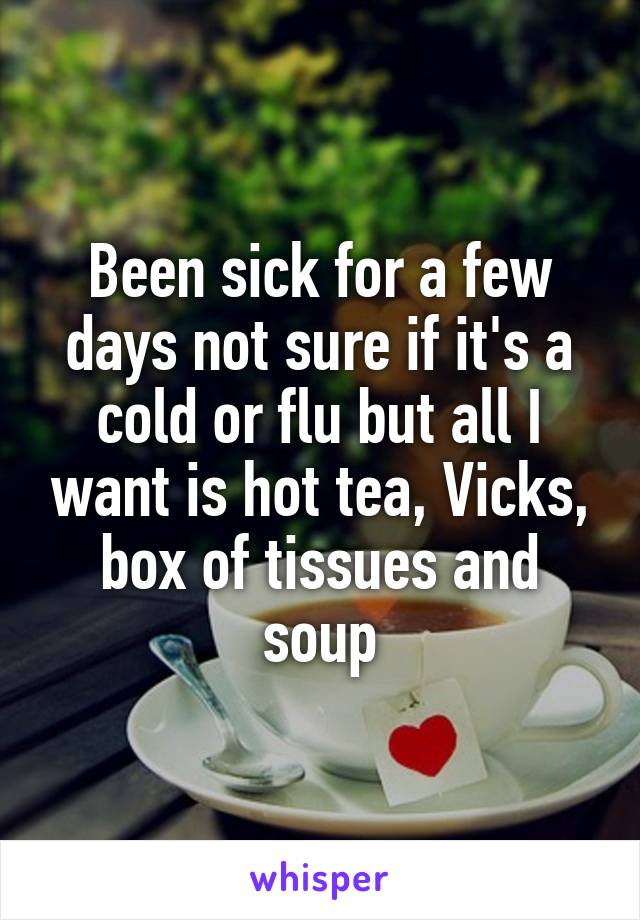 Been sick for a few days not sure if it's a cold or flu but all I want is hot tea, Vicks, box of tissues and soup