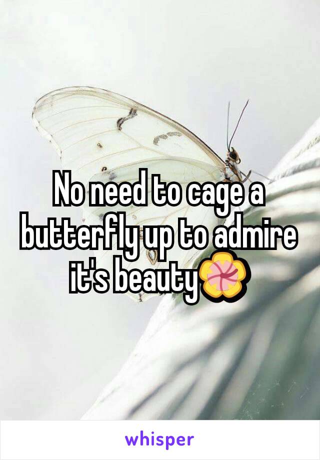 No need to cage a butterfly up to admire it's beauty🌺