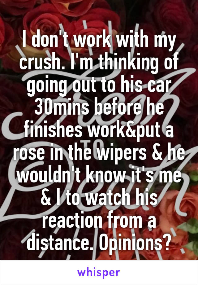 I don't work with my crush. I'm thinking of going out to his car 30mins before he finishes work&put a rose in the wipers & he wouldn't know it's me & I to watch his reaction from a distance. Opinions?