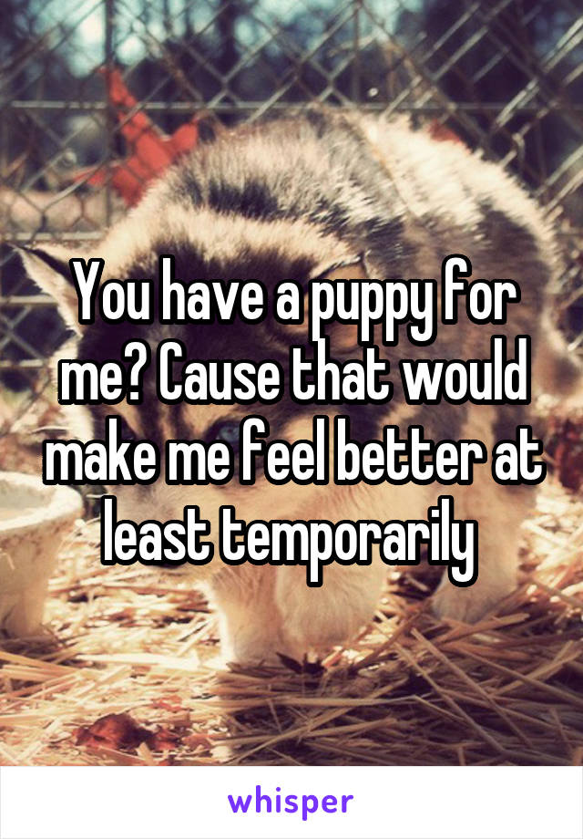 You have a puppy for me? Cause that would make me feel better at least temporarily 