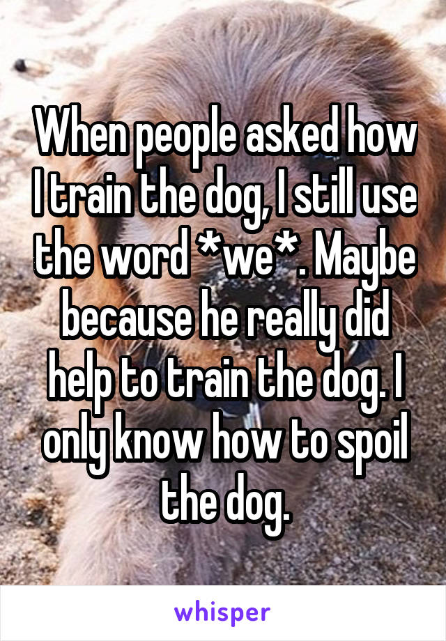 When people asked how I train the dog, I still use the word *we*. Maybe because he really did help to train the dog. I only know how to spoil the dog.