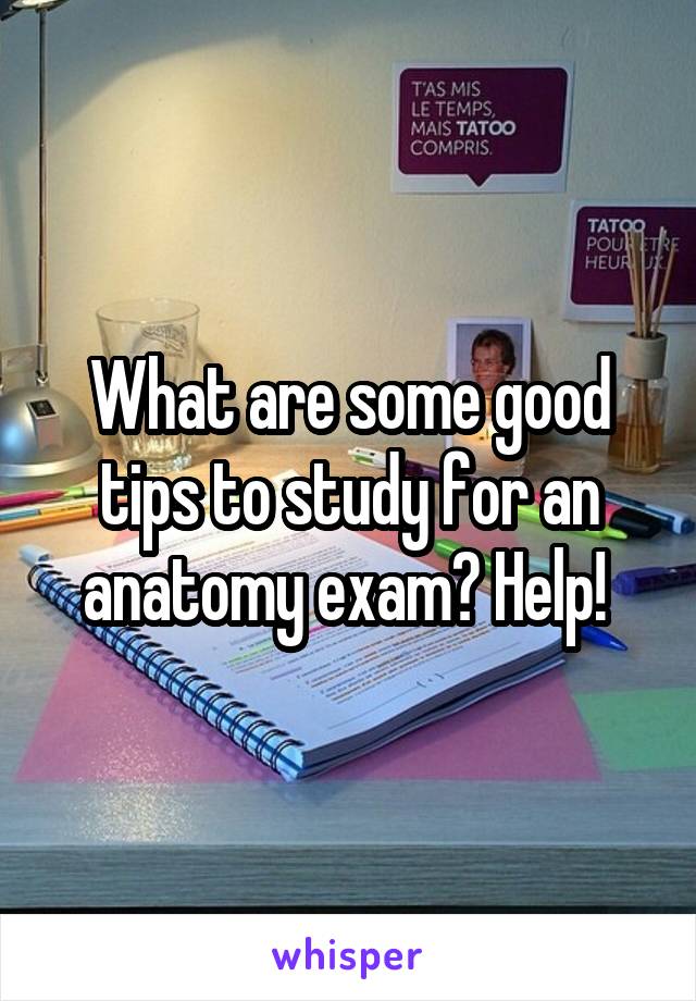 What are some good tips to study for an anatomy exam? Help! 