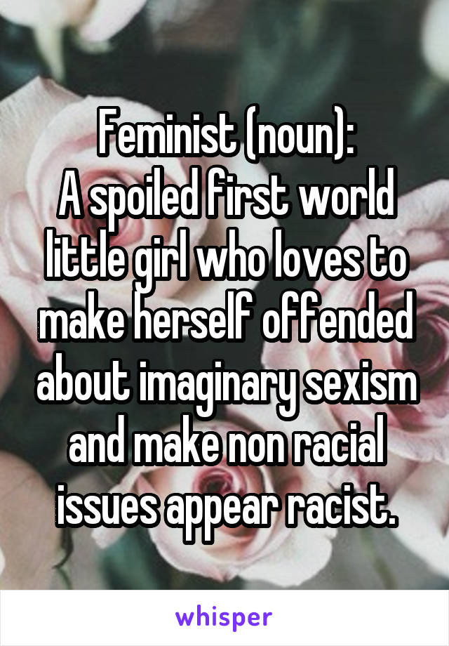 Feminist (noun):
A spoiled first world little girl who loves to make herself offended about imaginary sexism and make non racial issues appear racist.