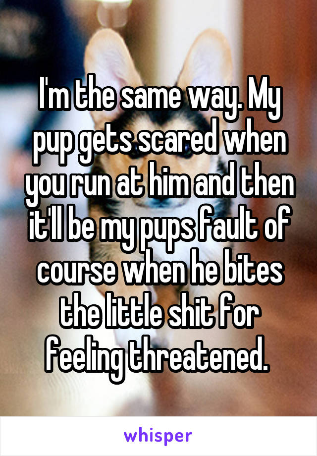 I'm the same way. My pup gets scared when you run at him and then it'll be my pups fault of course when he bites the little shit for feeling threatened. 
