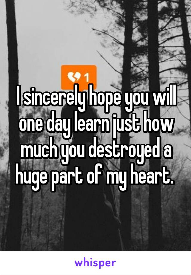 I sincerely hope you will one day learn just how much you destroyed a huge part of my heart. 