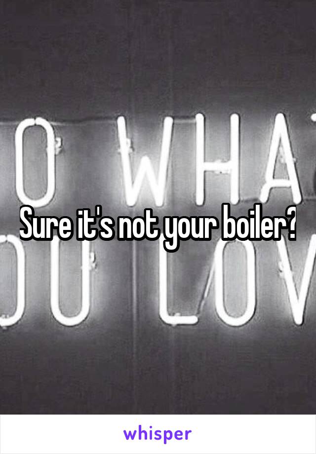 Sure it's not your boiler?