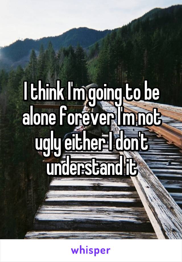 I think I'm going to be alone forever I'm not ugly either I don't understand it