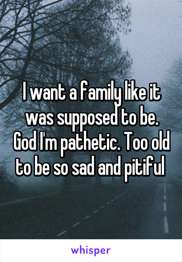 I want a family like it was supposed to be. God I'm pathetic. Too old to be so sad and pitiful 