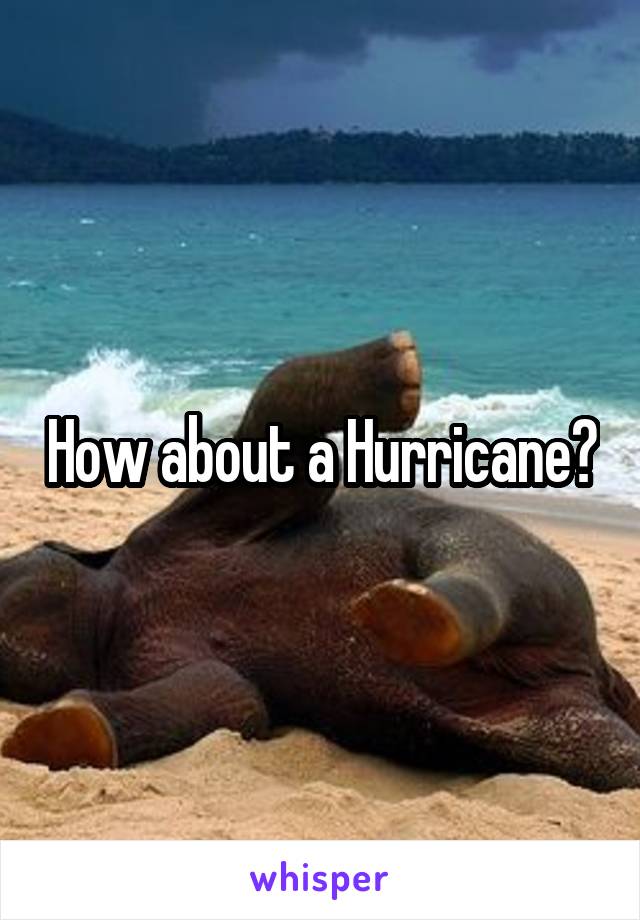 How about a Hurricane?