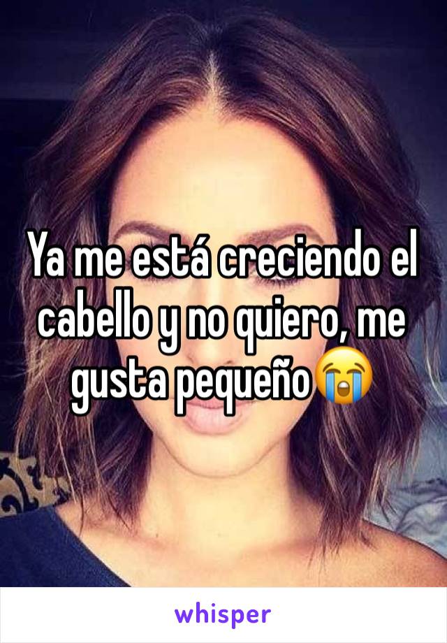 Ya me está creciendo el cabello y no quiero, me gusta pequeño😭