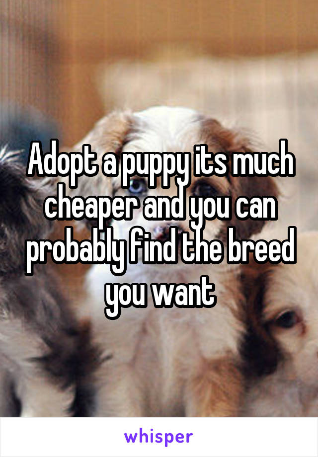Adopt a puppy its much cheaper and you can probably find the breed you want
