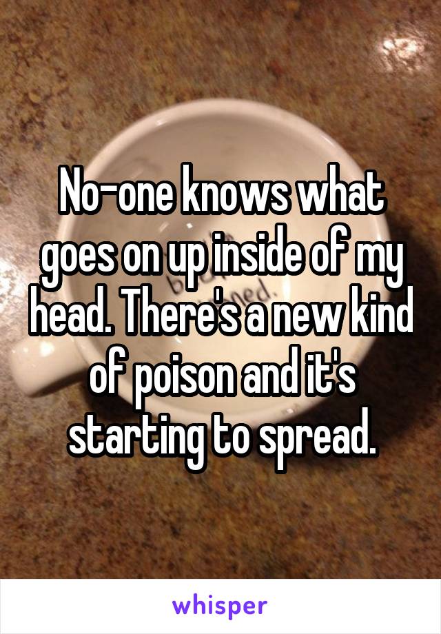 No-one knows what goes on up inside of my head. There's a new kind of poison and it's starting to spread.