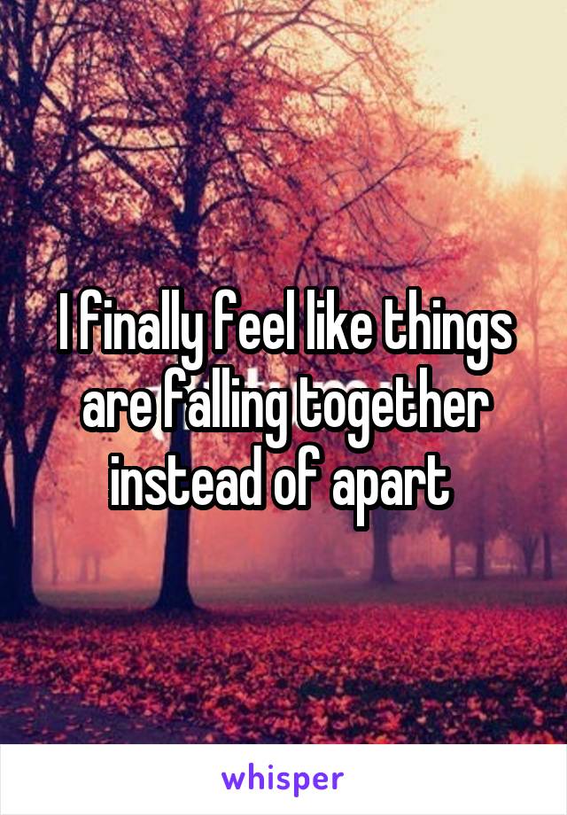 I finally feel like things are falling together instead of apart 