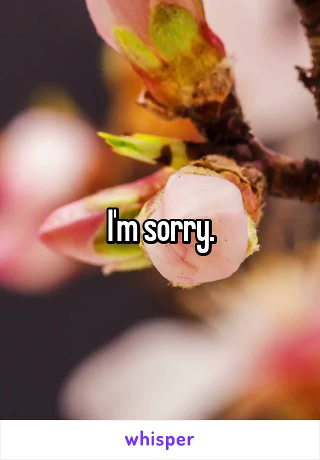 I'm sorry.
