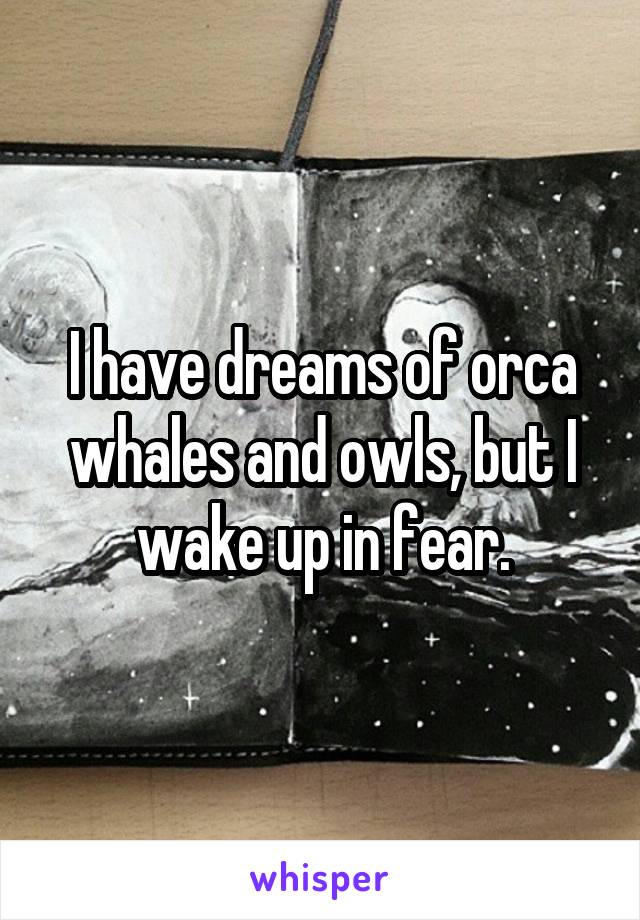 I have dreams of orca whales and owls, but I wake up in fear.