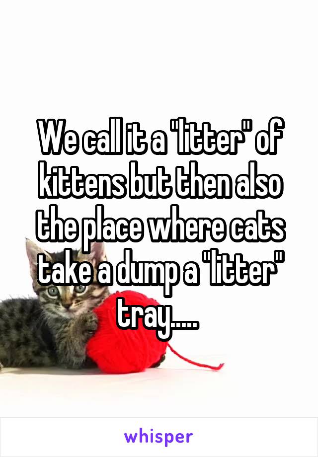 We call it a "litter" of kittens but then also the place where cats take a dump a "litter" tray..... 