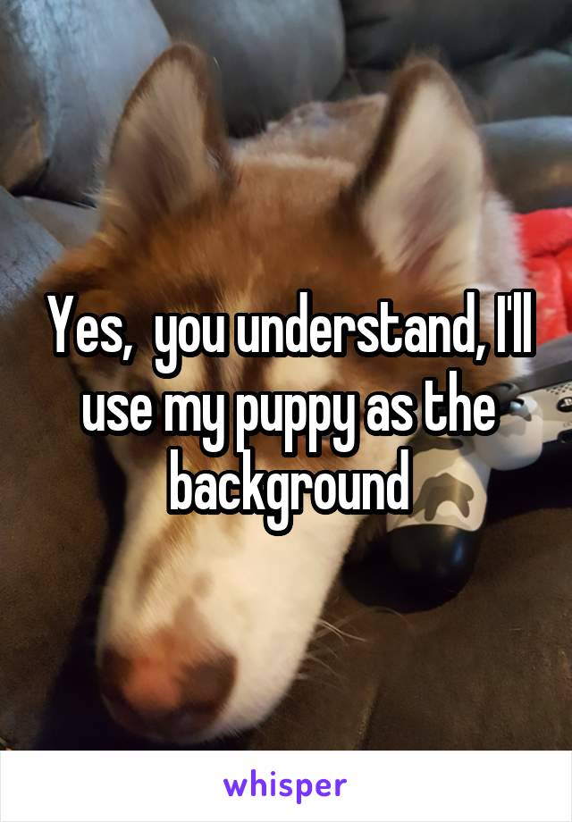 Yes,  you understand, I'll use my puppy as the background