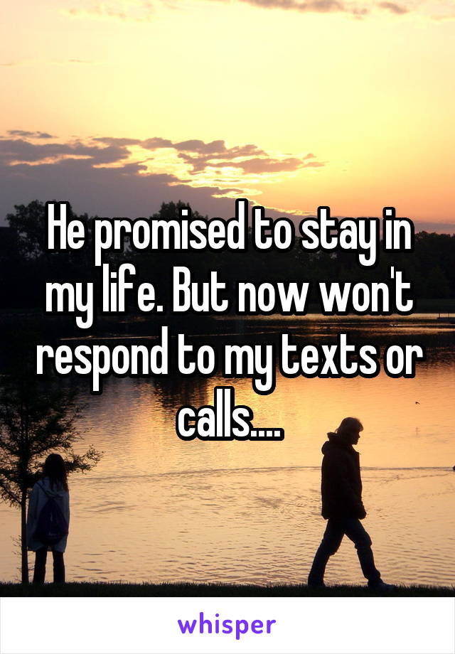 He promised to stay in my life. But now won't respond to my texts or calls....