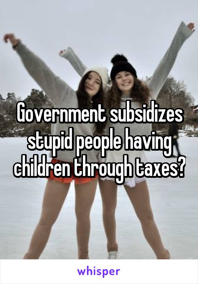 Government subsidizes stupid people having children through taxes?