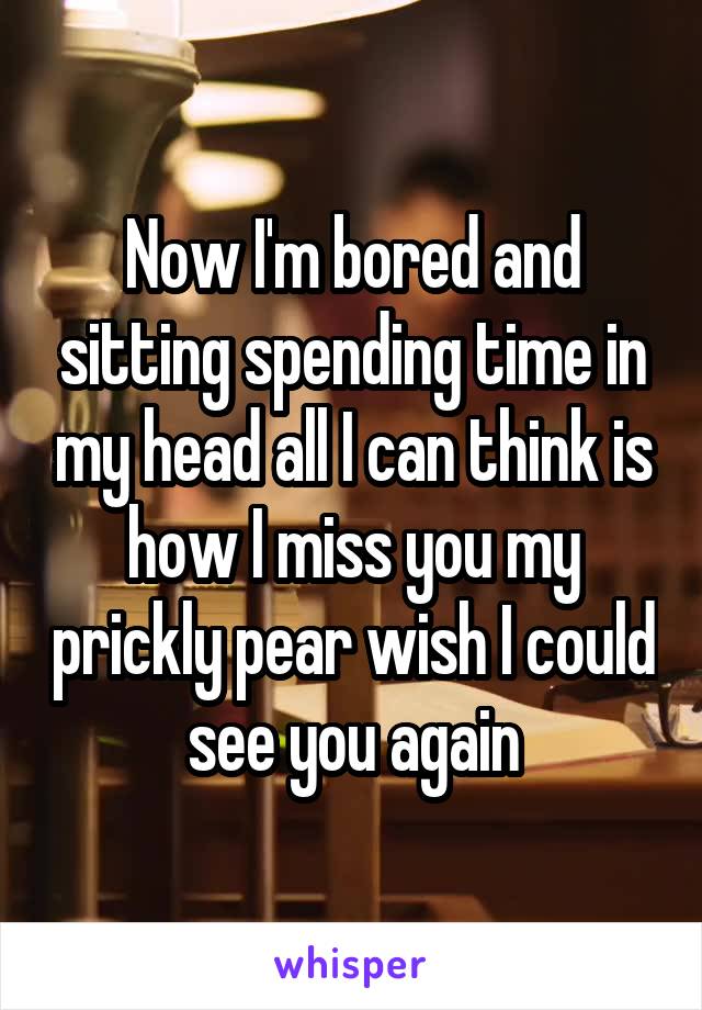 Now I'm bored and sitting spending time in my head all I can think is how I miss you my prickly pear wish I could see you again