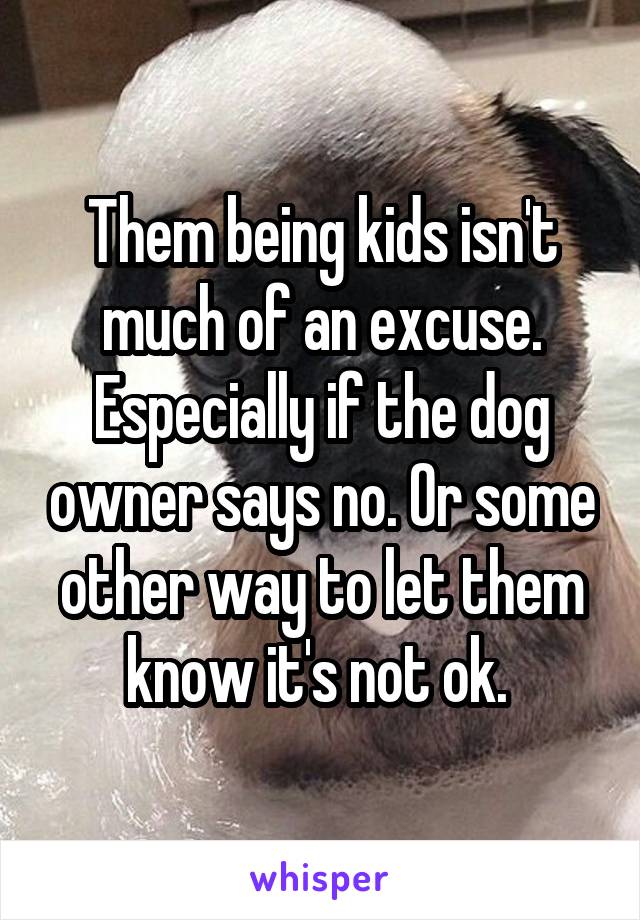Them being kids isn't much of an excuse. Especially if the dog owner says no. Or some other way to let them know it's not ok. 