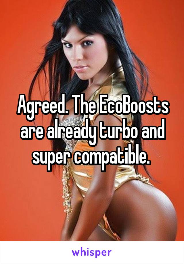 Agreed. The EcoBoosts are already turbo and super compatible. 