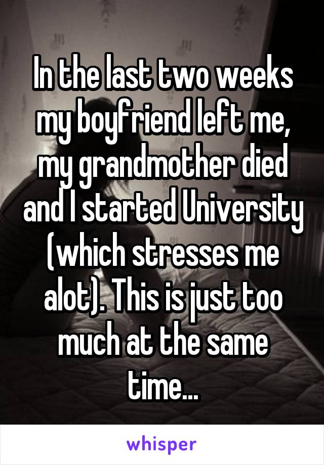 In the last two weeks my boyfriend left me, my grandmother died and I started University (which stresses me alot). This is just too much at the same time...