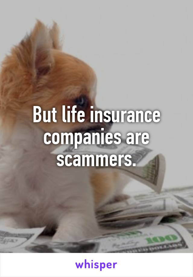 But life insurance companies are scammers.