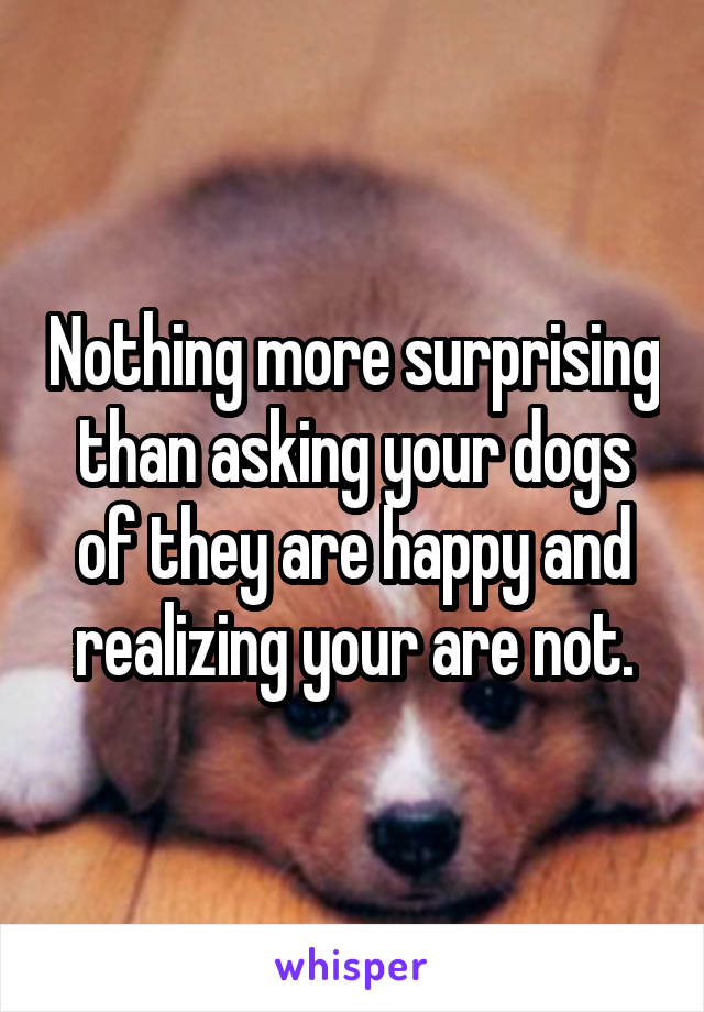 Nothing more surprising than asking your dogs of they are happy and realizing your are not.