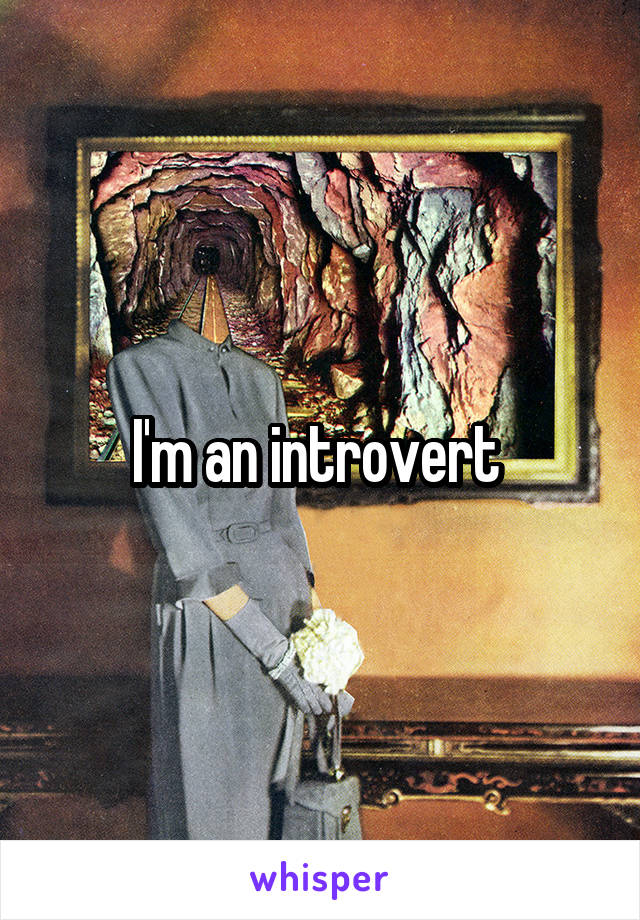 I'm an introvert 