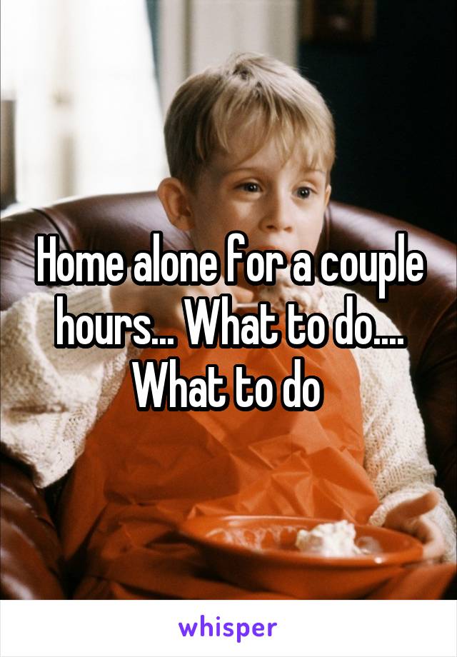 Home alone for a couple hours... What to do.... What to do 