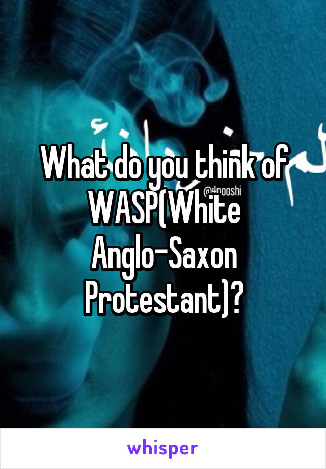 What do you think of WASP(White Anglo-Saxon Protestant)?