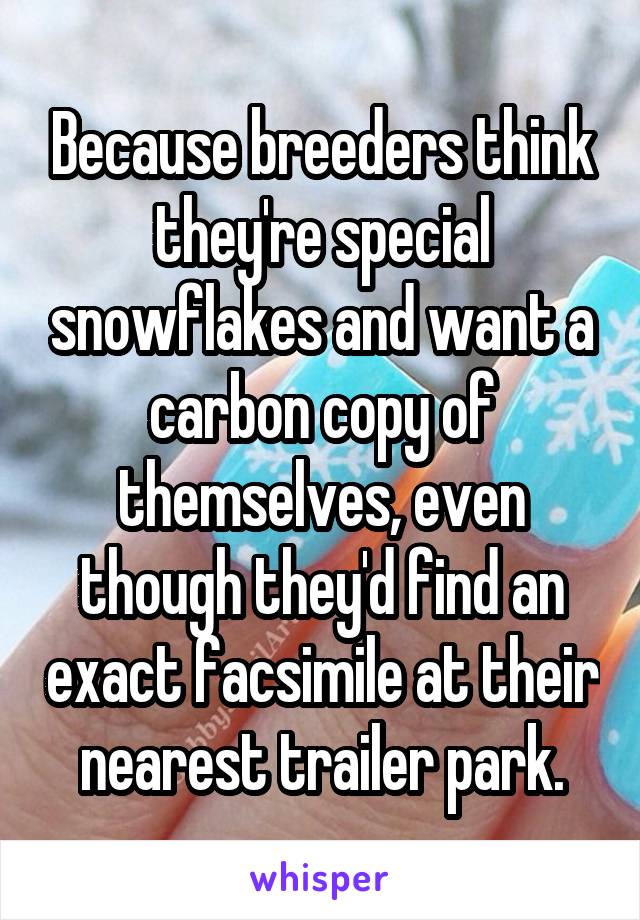 Because breeders think they're special snowflakes and want a carbon copy of themselves, even though they'd find an exact facsimile at their nearest trailer park.