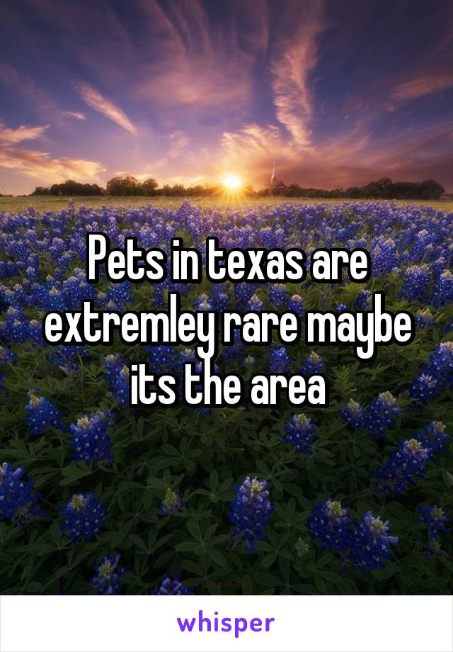 Pets in texas are extremley rare maybe its the area