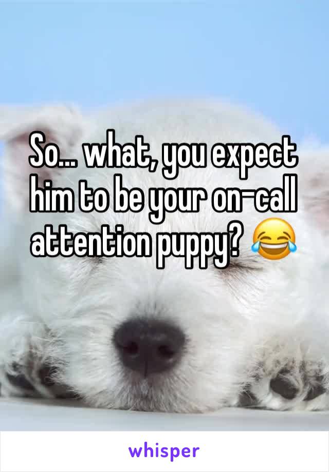 So... what, you expect him to be your on-call attention puppy? 😂