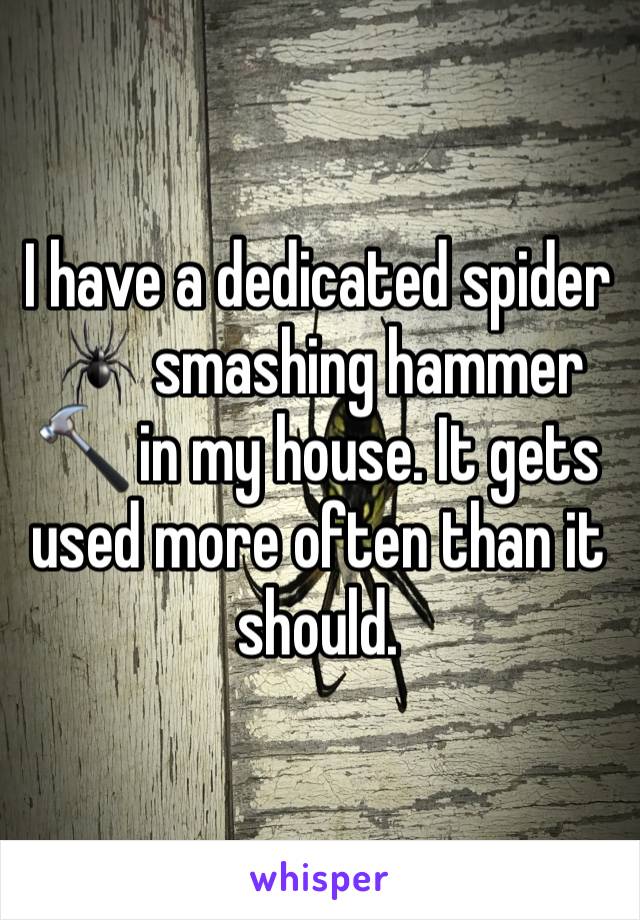 I have a dedicated spider 🕷 smashing hammer 🔨 in my house. It gets used more often than it should.