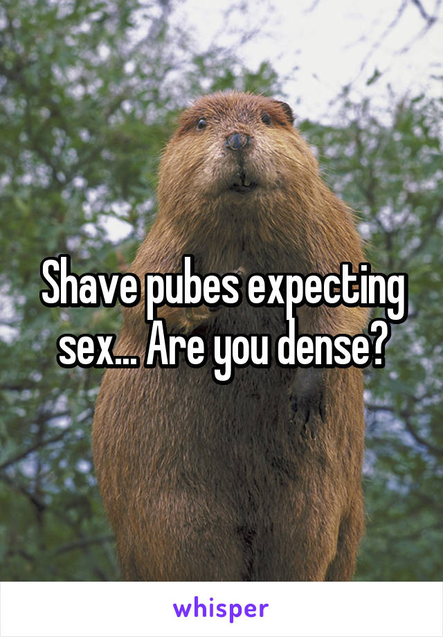 Shave pubes expecting sex... Are you dense?