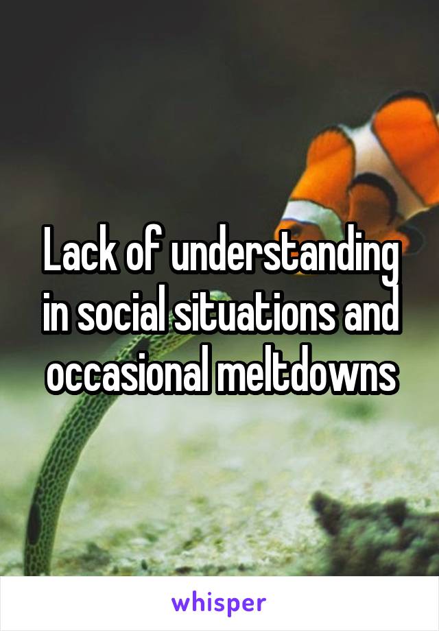 Lack of understanding in social situations and occasional meltdowns