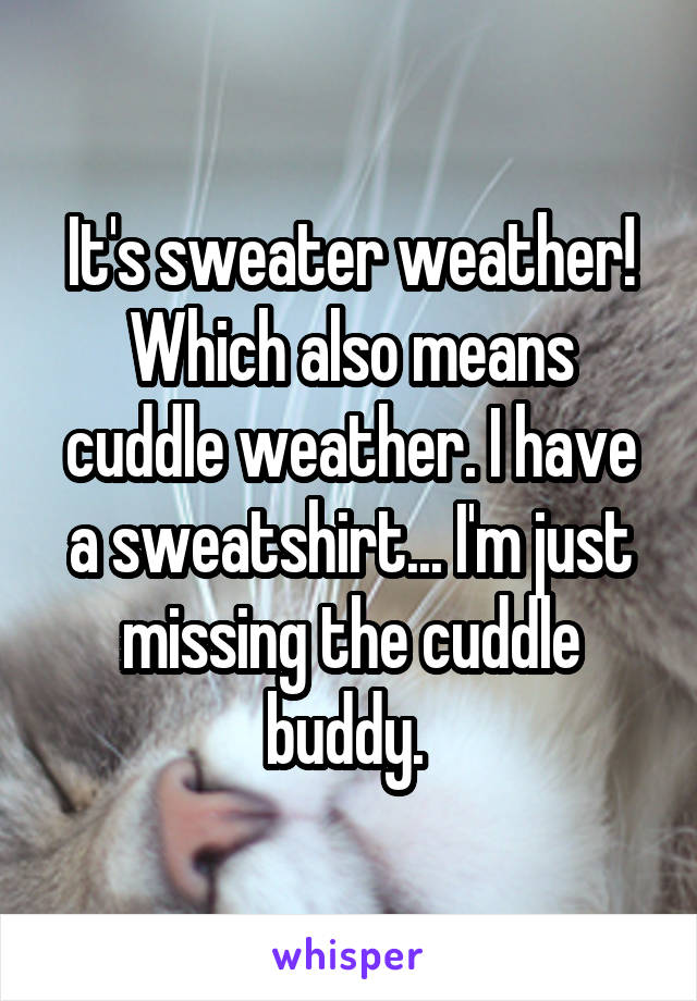 It's sweater weather! Which also means cuddle weather. I have a sweatshirt... I'm just missing the cuddle buddy. 