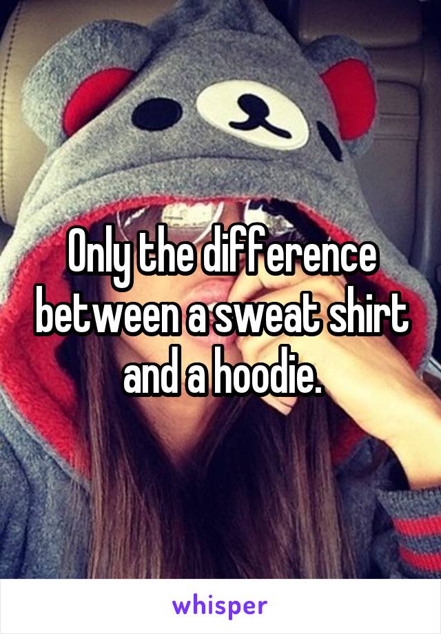 Only the difference between a sweat shirt and a hoodie.