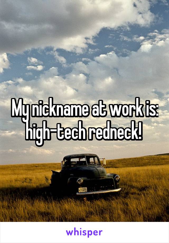 My nickname at work is: high-tech redneck! 