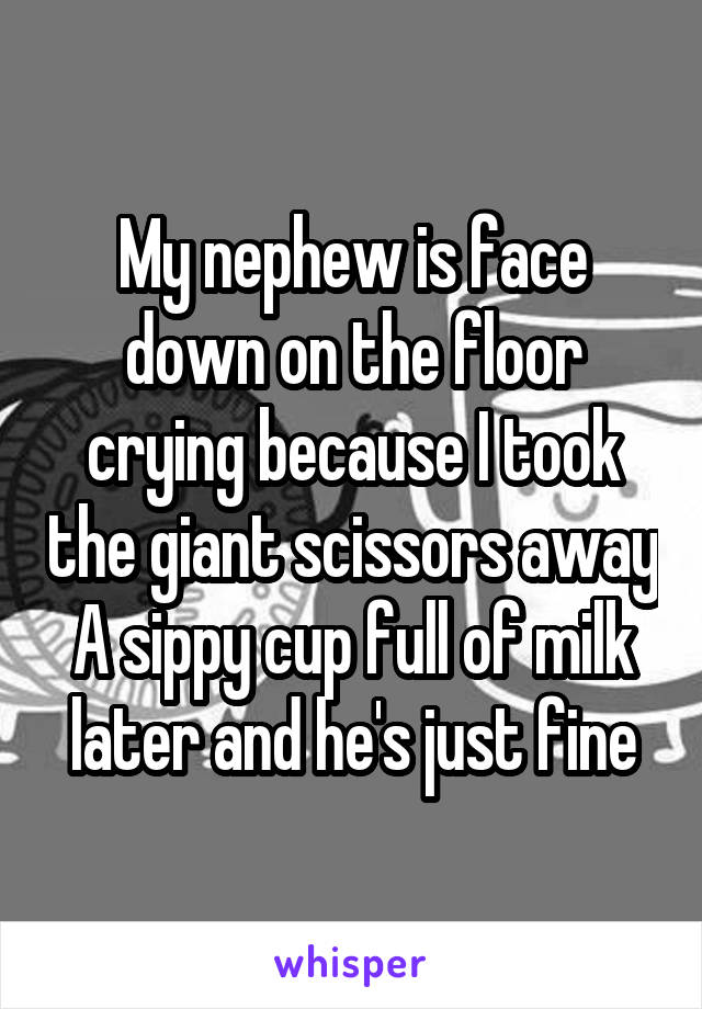 My nephew is face down on the floor crying because I took the giant scissors away
A sippy cup full of milk later and he's just fine