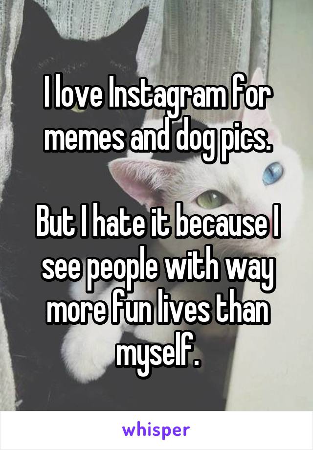 I love Instagram for memes and dog pics.

But I hate it because I see people with way more fun lives than myself.