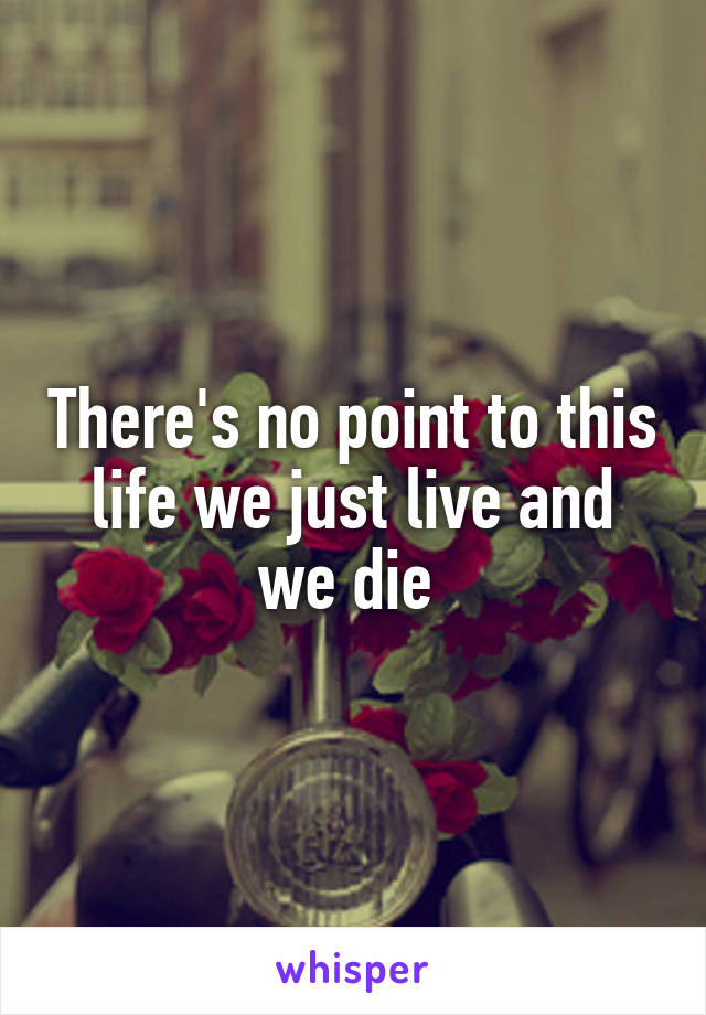 There's no point to this life we just live and we die 