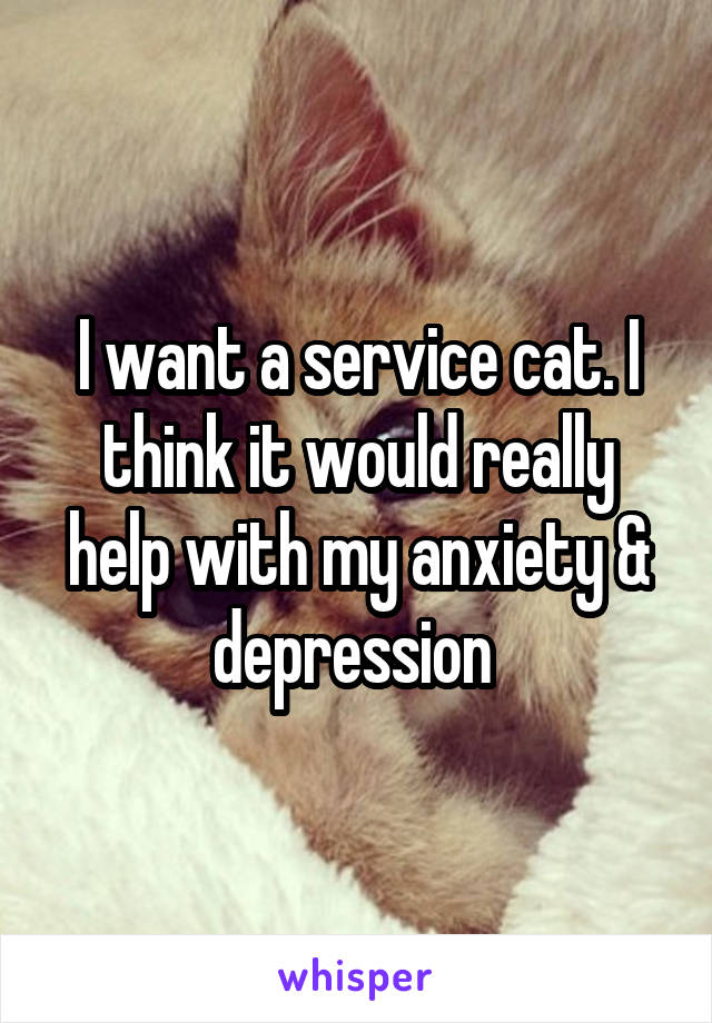 I want a service cat. I think it would really help with my anxiety & depression 