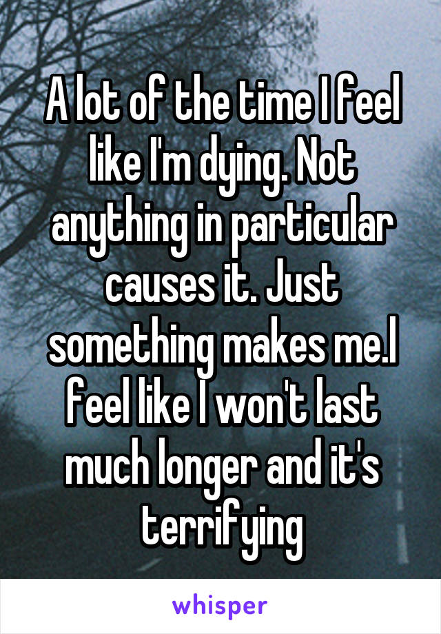 A lot of the time I feel like I'm dying. Not anything in particular causes it. Just something makes me.l feel like I won't last much longer and it's terrifying