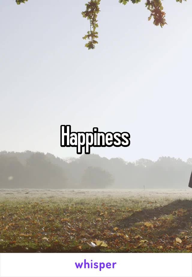 Happiness 