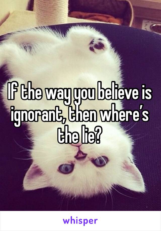 If the way you believe is ignorant, then where’s the lie? 