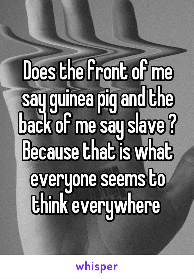 Does the front of me say guinea pig and the back of me say slave ? Because that is what everyone seems to think everywhere 